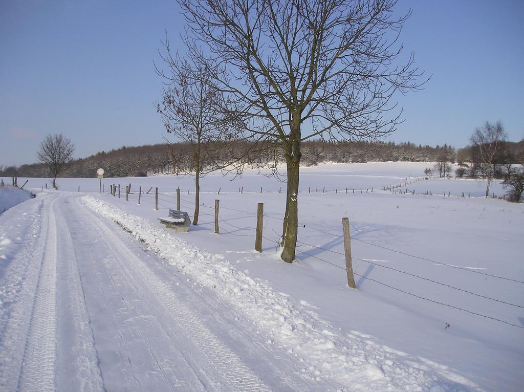 Knuellhotel Tann-Eck Knüllwald エクステリア 写真